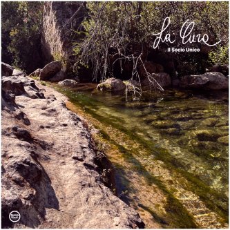Copertina dell'album La Cura, di Il Socio Unico