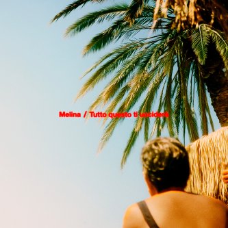 Copertina dell'album Melina / Tutto questo ti ucciderà, di Mammaliturchi