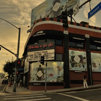 Solo i borghesi sopravvivono