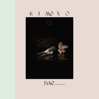 Copertina dell'album Kimono (piano version), di Baco_Giovanni Cristino