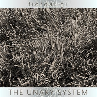 The Unary System