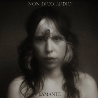 Non dico addio