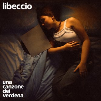 Copertina dell'album Una Canzone Dei Verdena, di Libeccio