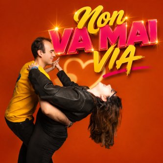 Copertina dell'album Non Va Mai Via (feat. Asilanna), di Il Vagabondo Detto Houston