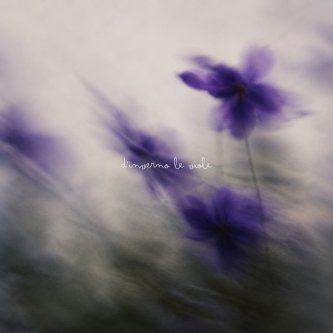 Copertina dell'album d'inverno le viole, di grapsia