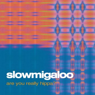 Copertina dell'album Are You Really Hippa?, di Slow Migaloo