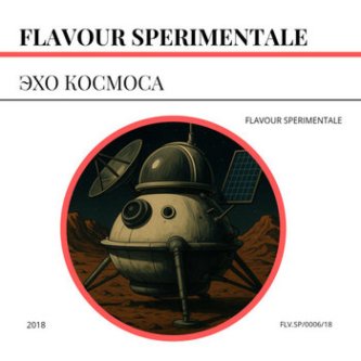 Эхо Космоса