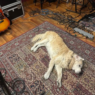 Copertina dell'album Tired of Being Tired, di Odd Socks
