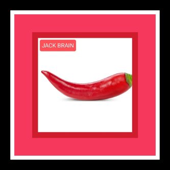 THE RED ALBUM