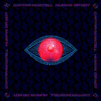 HUMAN OR NOT