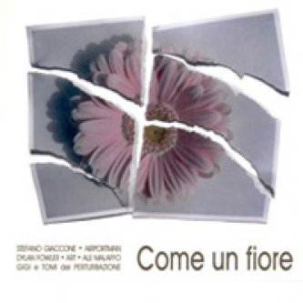 Copertina dell'album Come un fiore, di Stefano Giaccone