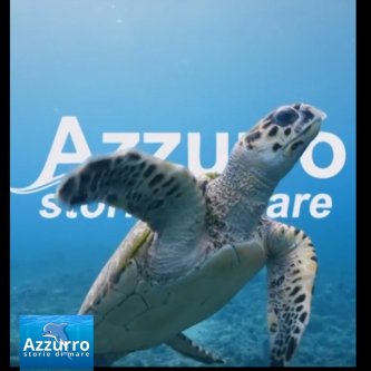 Azzurro Storie di Mare