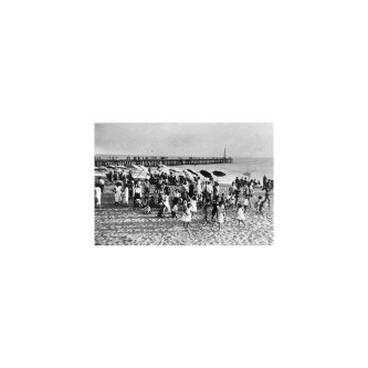 NUOVA APUANIA (DELUXE)