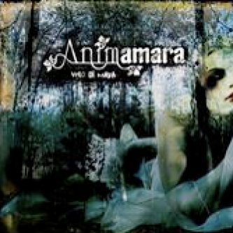 Copertina dell'album Velo di Maya, di Animamara