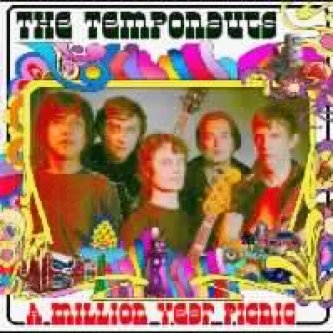Copertina dell'album A Million Year Picnic, di The Temponauts