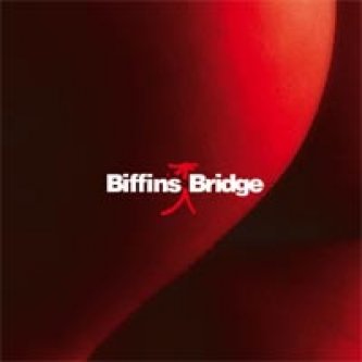 Copertina dell'album Biffin's Bridge, di Biffin's Bridge