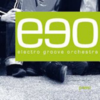 Copertina dell'album Passi, di Electro Groove Orchestra [Friuli Venezia Giulia]