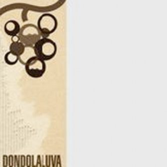Copertina dell'album Forse Cercavi… Dondolava?, di Dondolaluva