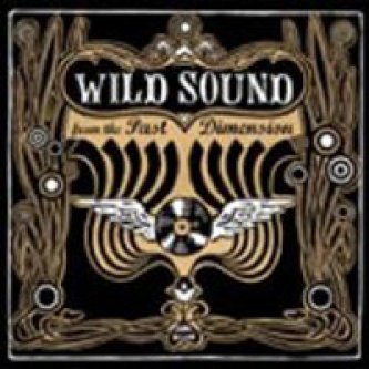 Copertina dell'album Wild Sound From The Past Dimension, di The Temponauts