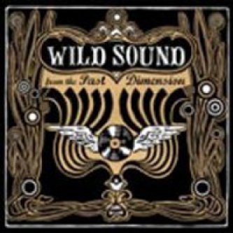 Copertina dell'album Wild Sound From The Past Dimension, di The Valentines