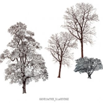 Copertina dell'album Blue Revenge , di Above The Tree 