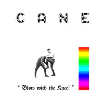 Copertina dell'album Blow with the knee, di Cane