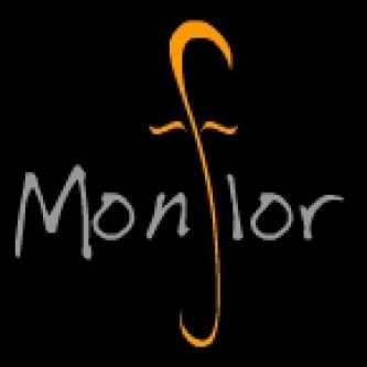 Copertina dell'album Monflor, di monflor