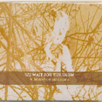 Copertina dell'album Lullabies from our dreams, di We Wait For The Snow
