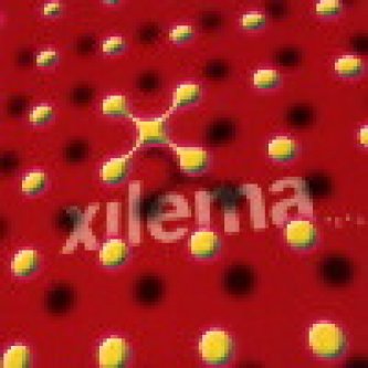 Copertina dell'album La mosca (single), di Xilema