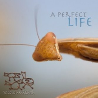 Copertina dell'album A Perfect Life, di Vicolo Margana