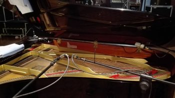 World Music Studio Piano