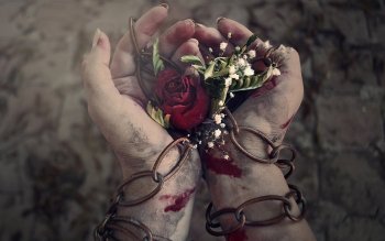 Roses_Hands_Blood_Chain_436386_1920x1200.jpg