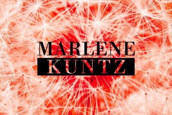 La nuova copertina di "Carartica" dei Marlene Kuntz