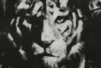 C'Mon Tigre, il video di "A World of Wonders"
