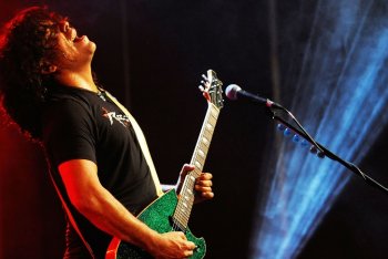 Gatti gattini chitarra