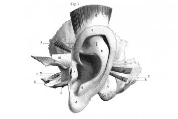 ear training izotope programmi test audio