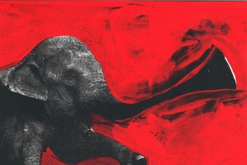 C'mon Tigre "Elephant RMX" (dettaglio copertina)