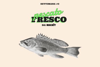 Il Dicentrarchus labrax, spigola (o branzino) per gli amici