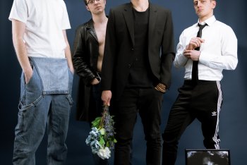 Nella foto, dei Maschi Sensibili