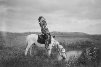 Foto via Public Domain Pictures