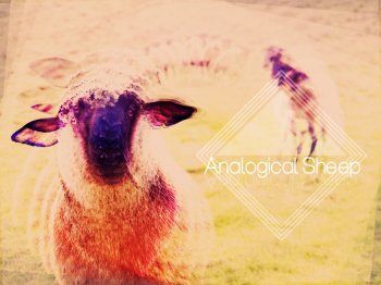 Analogical Sheep