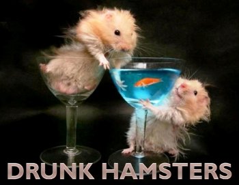 Drunk Hamsters