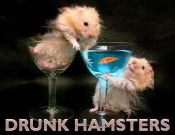 Drunk Hamsters def.jpg