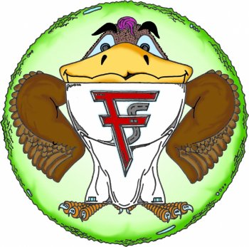 Logo Falqui della Strada