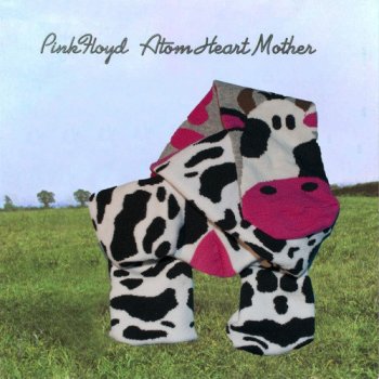 Pink Floyd - "Atom Hearth Mother" (versione calzini)