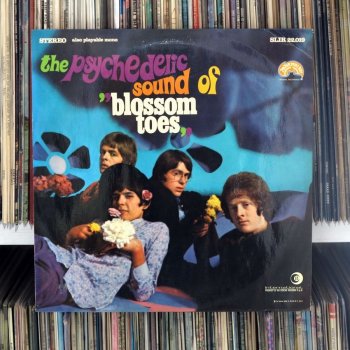 Blossom Toes – The Psychedelic sound of Blossom…