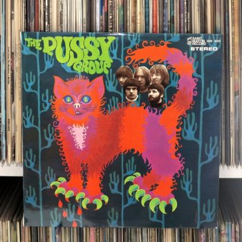 Pussy – Pussy Plays