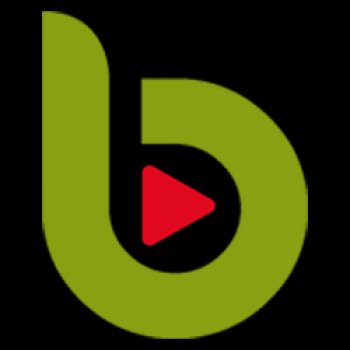 BB logo Face2.jpg