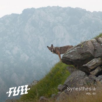 Synesthesia Vol.03 - Cover