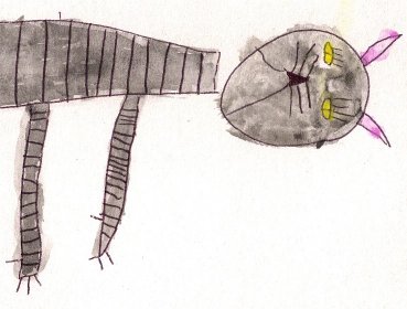 Dead Cat Drawing, cropped